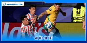 Soi Kèo Petrocub Vs Egnatia Rrogozhine 00:00 09/07: Champions League 